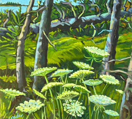 Queen Anne's Lace at Edge of the Woods by Judy Rader